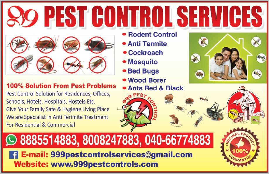 999 Pest Control Services