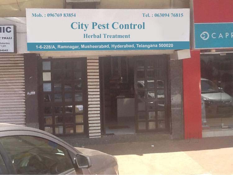 City Pest Control