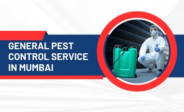 Pest Control Service in Mumbai