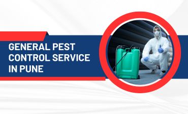 General Pest Control Service in Pune