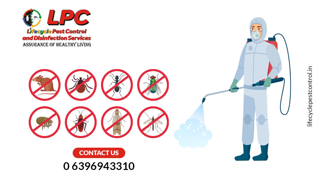 Lifecycle Pest Control And Disinfection Services