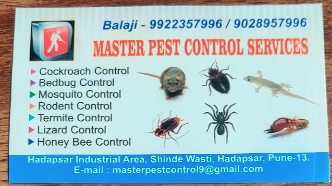 Master Pest Control Services