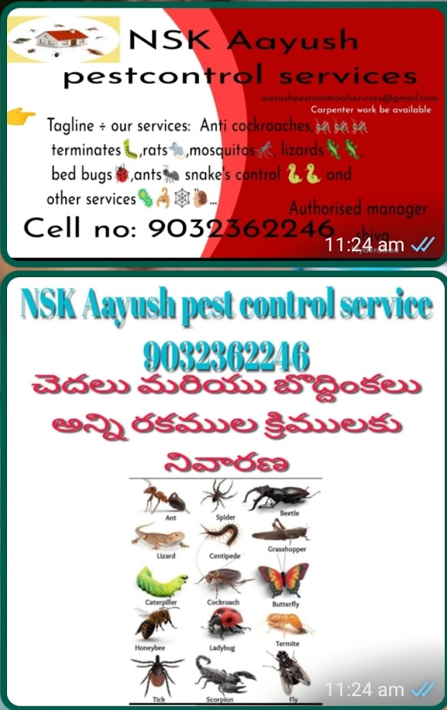 NSK Aayush Pest Control Services