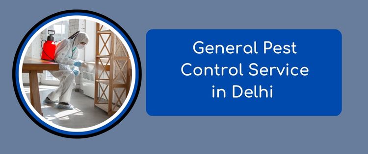 Pest Control Service in Delhi