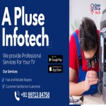 A Pluse Infotech