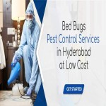 bed bugs control service in hyderabad