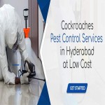 cockroaches pest control in hyderabad