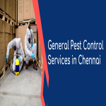 General Pest Control Services in Chennai