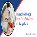 Hysea Bed Bugs Pest Free Services in Bangalore