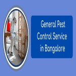 General Pest Control Service in Bangalore
