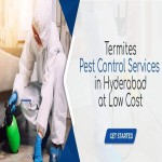 Termites control services in Hyderabad