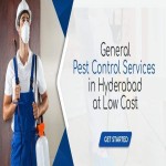 General Pest control Services in Hyderabad