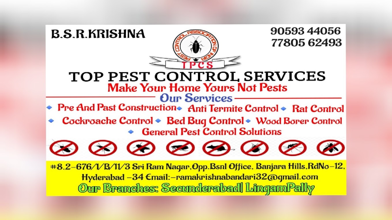 Top Pest Control Services