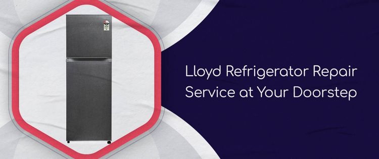 lloyd refrigerator repair